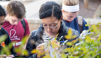 Students taking notes outside looking at plants.