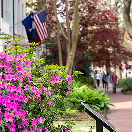 flowering plants line a brick walkway with flags on the building in the background